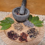 mortar and pestle with a variety of herbs on plate